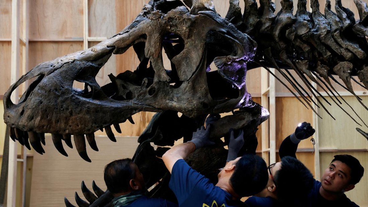 FOTO: Saat T-Rex Mampir di Singapura