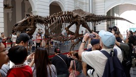FOTO: Saat T-Rex Mampir di Singapura