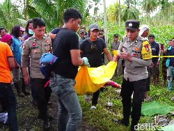 Wanita Tewas Bersimbah Darah-Penuh Luka Bacok Ditemukan di Sawah Lumajang