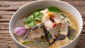 6 Manfaat Ikan Gabus, Sayang Jika Tidak Disajikan di Meja Makan
