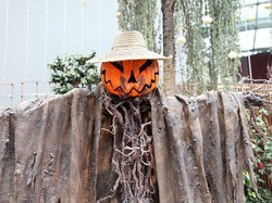 Tradisi Halloween Berasal dari Mana? Ini Asal Usul Negara Pelopornya