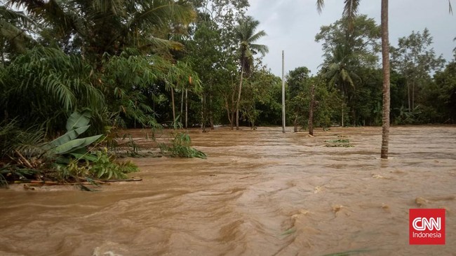 Banjir melanda empat kecamatan di Kabupaten Lampung Selatan, Provinsi Lampung sudah memakan korban jiwa. 697 rumah terendam banjir. 