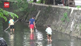 VIDEO: 24 Warga Semarang Terpapar Leptospirosis, 6 Meninggal