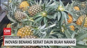 VIDEO: Inovasi Benang Serat Daun Buah Nanas