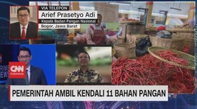 VIDEO: Pemerintah Ambil Kendali 11 Bahan Pangan