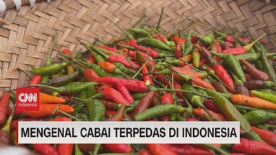 img-title VIDEO: Mengenal Cabai Terpedas di Indonesia