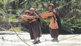 Prabowo Bentuk Satgas Darurat Bangun 300 Ribu Jembatan di Pelosok