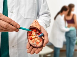 Tanda-tanda Ginjal Rusak yang Tak Boleh Diabaikan, Perlu Segera ke Dokter