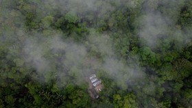 Tarung Bolsonaro vs Lula di Pilpres Brasil dan Pertaruhan Hutan Amazon