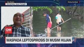 VIDEO: Penyakit Leptospirosis Mengancam Saat Musim Hujan
