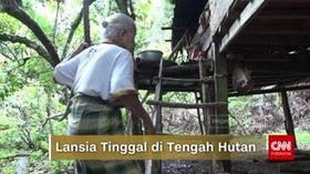 VIDEO: Pasangan Lansia Tinggal di Tengah Hutan