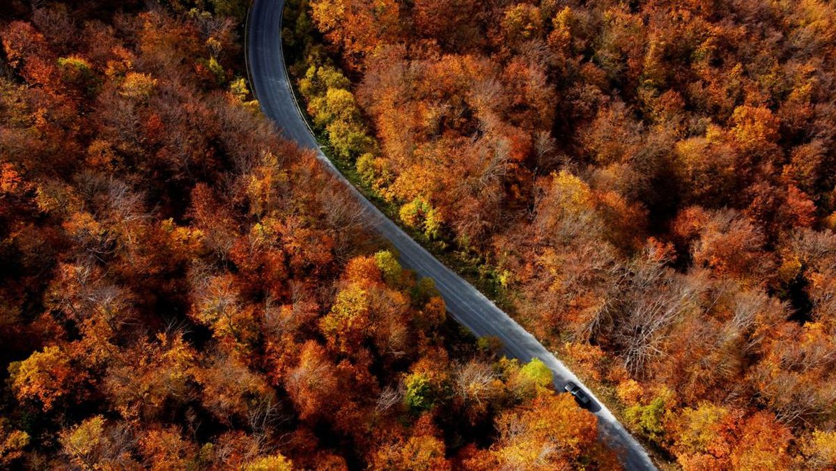Road Trip di Luar Negeri? Nyetir di 10 Negara Ini Perlu Ekstra Waspada