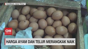 VIDEO: Harga Ayam dan Telur Merangkak Naik