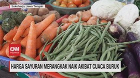 VIDEO: Harga Sayuran Merangkak Naik Akibat Cuaca Buruk