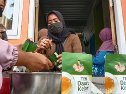 Keren! Teh Daun Kelor Buatan Indramayu Tembus Pasar Asia Timur