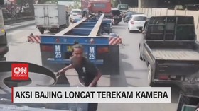 VIDEO: Aksi Bajing Loncat Terekam Kamera
