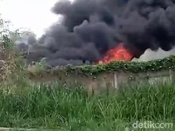 Kandang Ayam di Pasuruan Ludes Terbakar Usai Panen