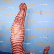 Ini Alasan Heidi Klum Pilih Cacing sebagai Tema Kostum Halloween