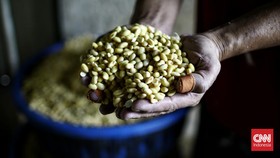 FOTO: Jerit Perajin Tahu Saat Harga Kedelai Tembus Rp14 Ribu per Kg