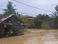 285 Hektare Sawah Padi Rusak Imbas Banjir di Sumut