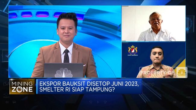 Ekspor Bauksit Disetop di 2023, Smelter RI Siap Tampung?