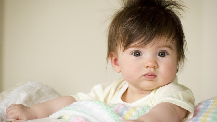 Ilustrasi Fase Tumbuh Rambut Bayi Ilustrasi Fase Tumbuh Rambut Bayi