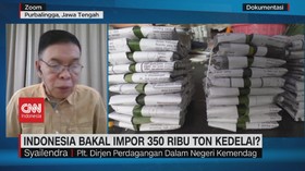 VIDEO: Indonesia Bakal Impor 350 Ribu Ton Kedelai?