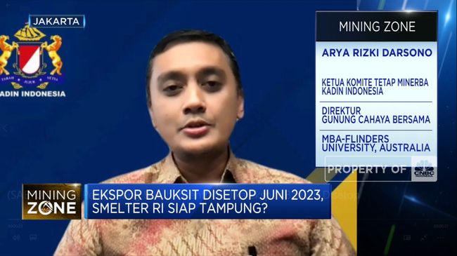 Penambang Butuh Insentif Ini Jika 2023 Ekspor Bauksit Disetop