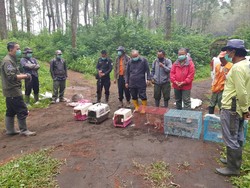 Landak-Kukang Jawa Jadi Penghuni Baru Gunung Ciremai