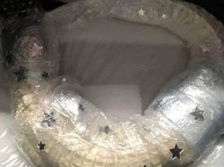 Ketahuan Bawa Buaya Albino di Koper, Turis Langsung Ditangkap Polisi
