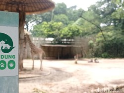 Dalih Ridwan Kamil Dukung Penyegelan Bunbin Bandung