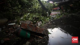 Cuaca Ekstrem Makassar: Pohon Tumbang Tewaskan Anak dan Timpa Lansia