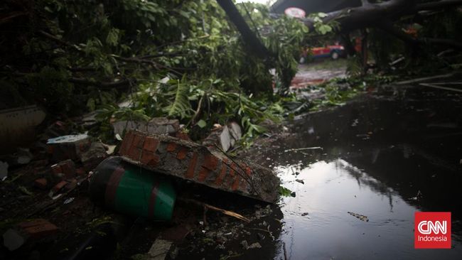 Anak perempuan berusia delapan tahun tewas tertimpa pohon di Makassar imbas hujan deras dan angin kencang. 