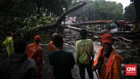 FOTO: Pohon Tumbang Akibat Angin Kencang