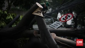 5 Polisi Tertimpa Pohon Tumbang di Balkot DKI Dirujuk ke RS Polri