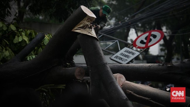 Pohon di Balai Kota DKI tumbang saat para anggota polisi sedang melakukan apel usai tugas pengamanan demo.