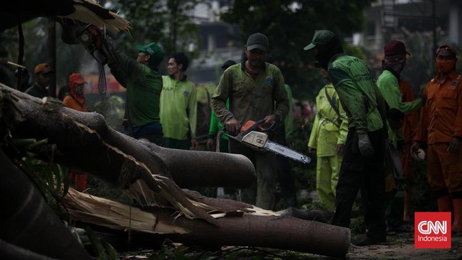 Sebanyak 5 anggota Polda Metro Jaya disebutkan jadi korban insiden pohon tumbang di Balai Kota DKI. Salah satu korban mengalami patah tulang.