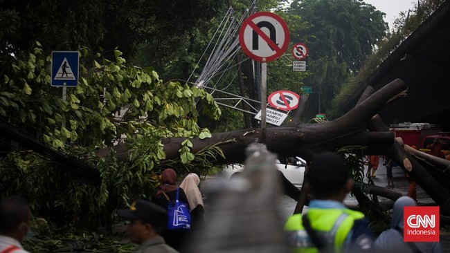 Hujan deras yang disertai angin kencang mengguyur wilayah DKI Jakarta, Senin malam (17/3). Imbasnya, belasan pohon tumbang di sejumlah wilayah.