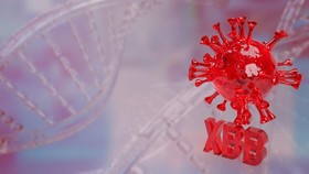 12 Gejala Umum Covid-19 Subvarian XBB, Ada Anosmia Mirip Delta