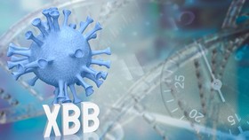Jadi Biang Kerok Covid AS Meroket, Seperti Apa Gejala Omicron XBB.1.5?