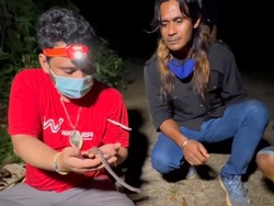 Cerita Panji Petualang Bertemu Ular Naga di Gunung Sanggabuana