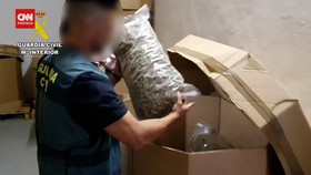 VIDEO: Polisi Spanyol Sita Ganja Senilai 1 Triliun