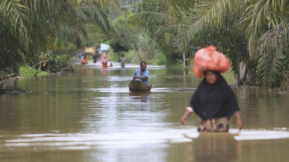 Pemkab Aceh Selatan Tetapkan Status Tanggap Darurat Banjir — NadiKabar.com