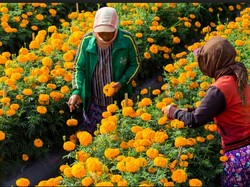12 Taman di Bali yang Populer dan Instagrammable