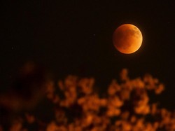 Jam Berapa Gerhana Bulan Total 8 November 2022? Cek Jadwalnya di Sini