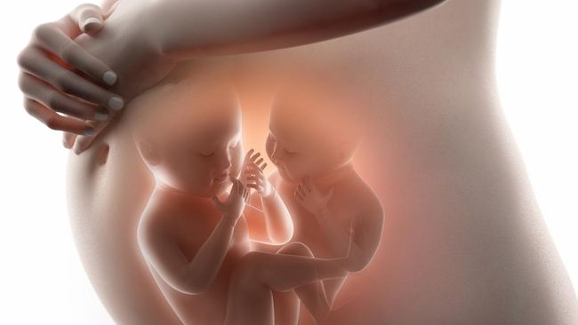 Hamil kembar ternyata merupakan salah satu jenis kehamilan berisiko tinggi yang bisa mengancam nyawa ibu maupun bayi. Mengapa demikian?