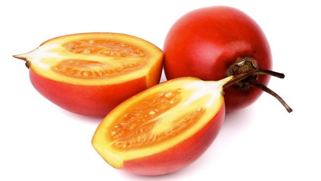 Manfaat terong Belanda dipercaya menguntungkan kesehatan, sebab kandungannya yang kaya akan vitamin. Simak manfaatnya!