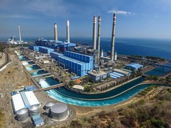Di Mesir, PLN Beberkan Cara Kurangi Emisi Karbon dengan Biomassa