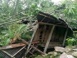 Kisah Pilu Pasutri 5 Anak yang Rumahnya Hancur Tertimpa Pohon
