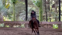 <p>Meski begitu, Shireen Sungkar kembali menemukan keseimbangan dan mampu bergerak mengikuti irama kuda. (Foto: Instagram @shireensungkar)</p>